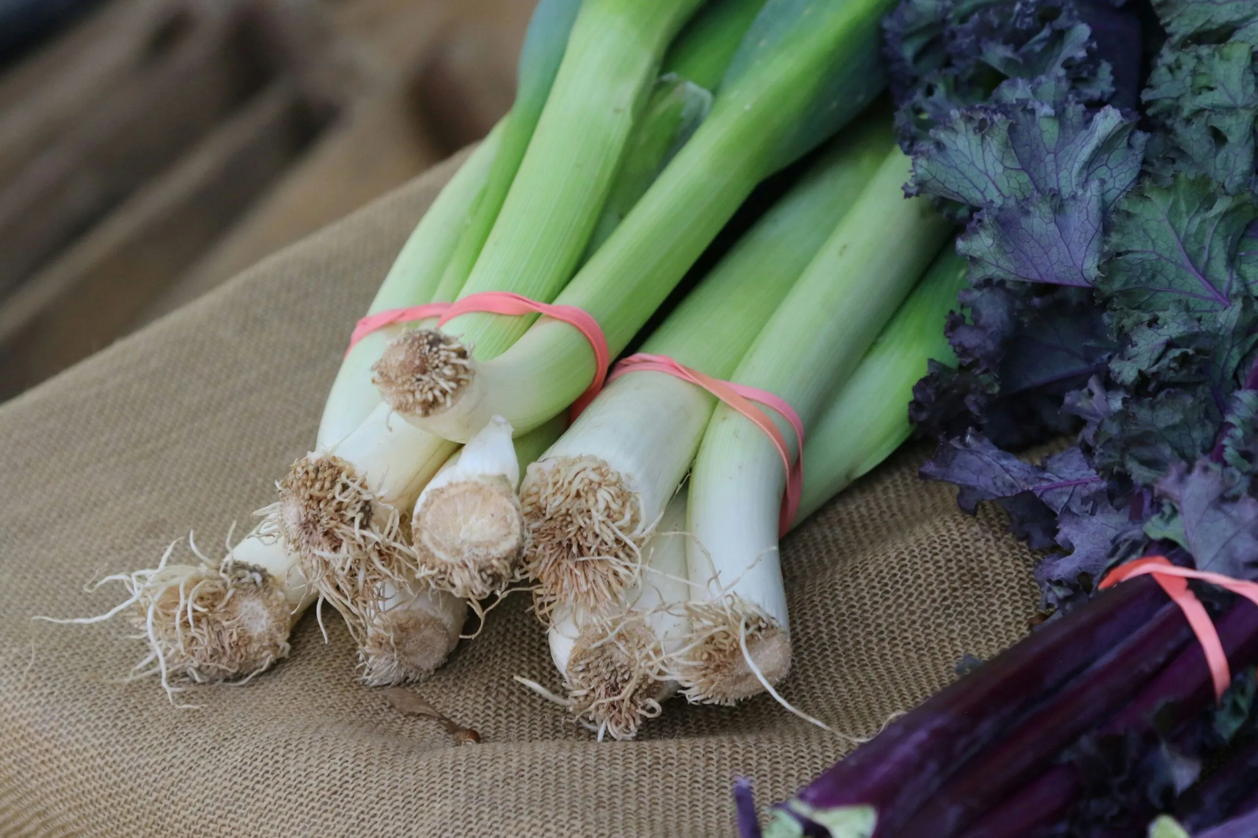 Verde del puerro convertido en aromatizante natural con sabor umami para reducir el desperdicio alimentario