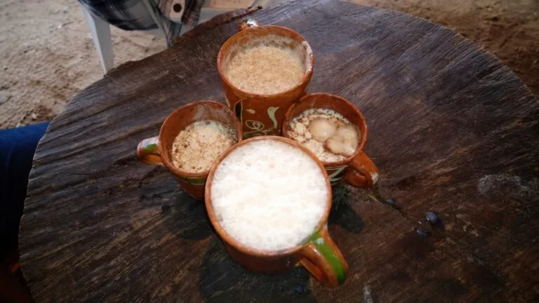Pajarete tradicional de Jalisco preparado con leche recién ordeñada, chocolate y alcohol en una comunidad rural