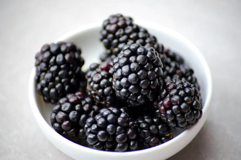 Zarzamoras como snack saludable con fibra, antioxidantes y vitamina C para una alimentación equilibrada