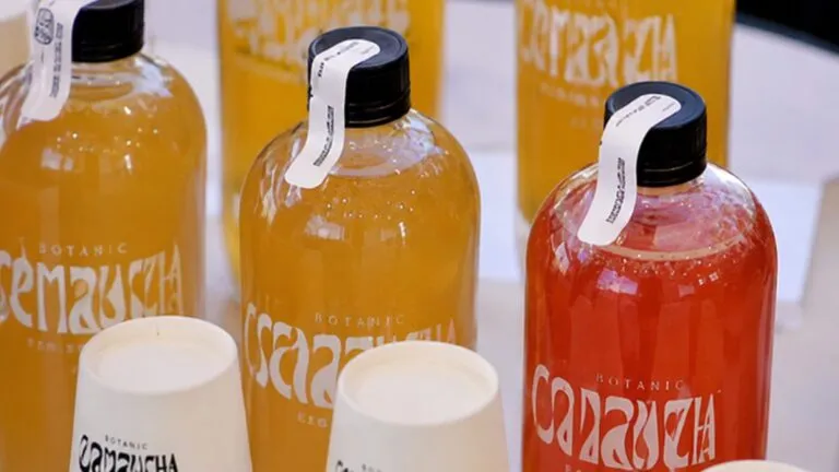 Kombucha mexicana artesanal elaborada con ingredientes naturales para promover hábitos saludables.