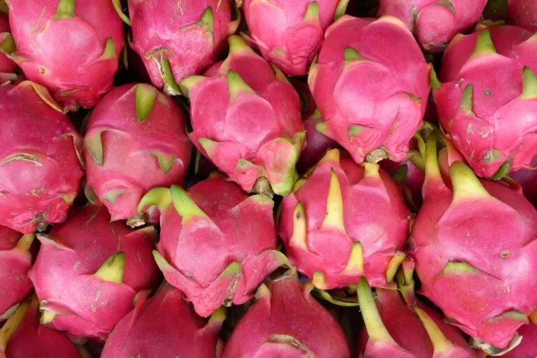 Fruta del dragón en Tulancingo con precio, variedades y beneficios para una alimentación saludable.