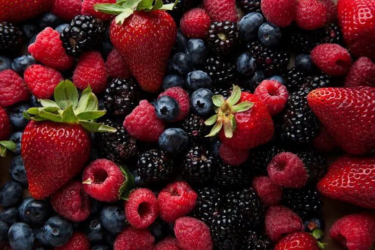 Antioxidantes en frutas y verduras de distintos colores relacionados con beneficios para la salud