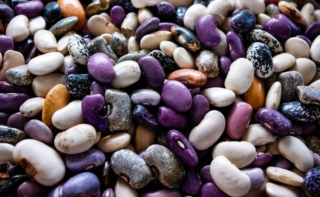 Ayocote mexicano con proteínas, fibra y minerales para una alimentación saludable