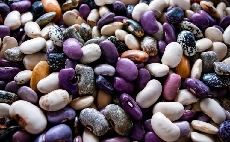 Ayocote mexicano con proteínas, fibra y minerales para una alimentación saludable