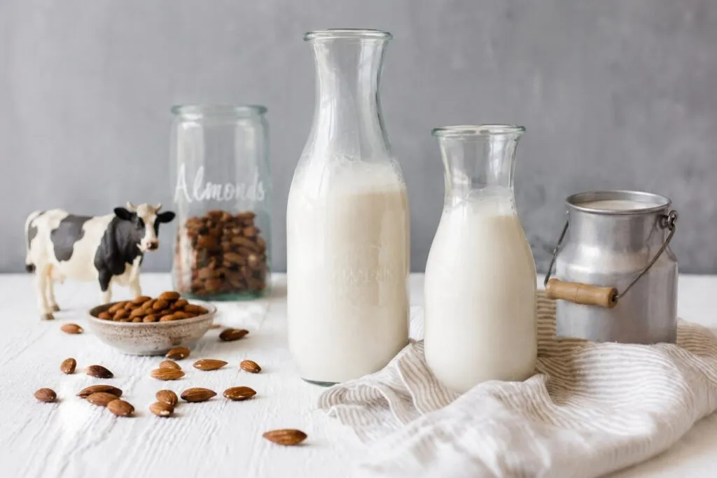 Leche o bebida vegetal de almendra y avena con diferentes aportes de proteínas y calcio