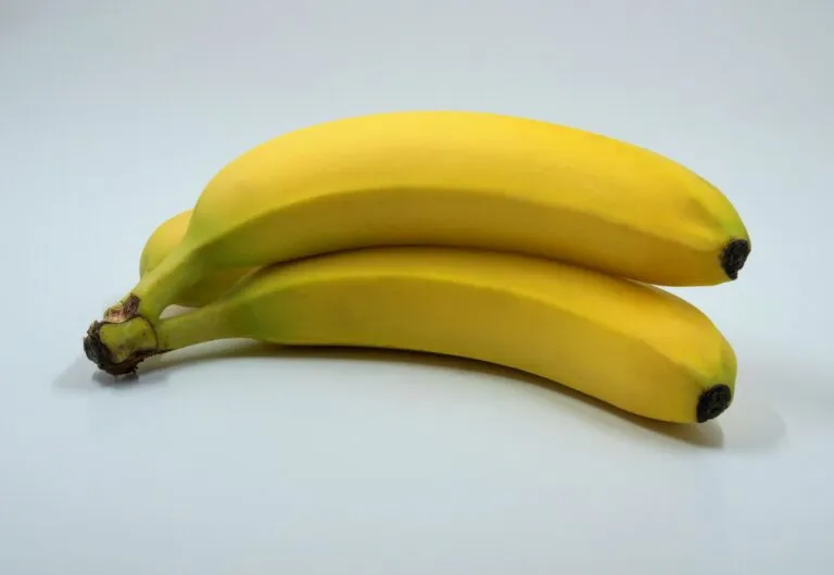 Plátanos verdes y maduros que aportan fibra y almidón resistente