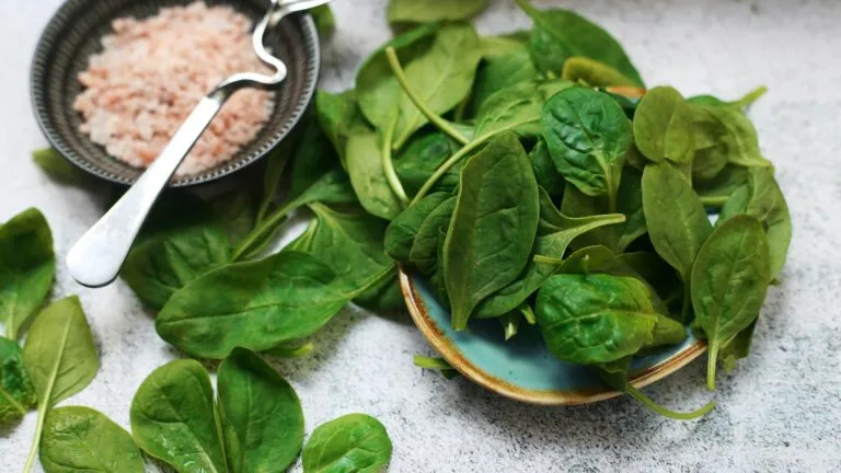 Verduras para dieta keto bajas en carbohidratos y ricas en fibra para una alimentación diaria variada.