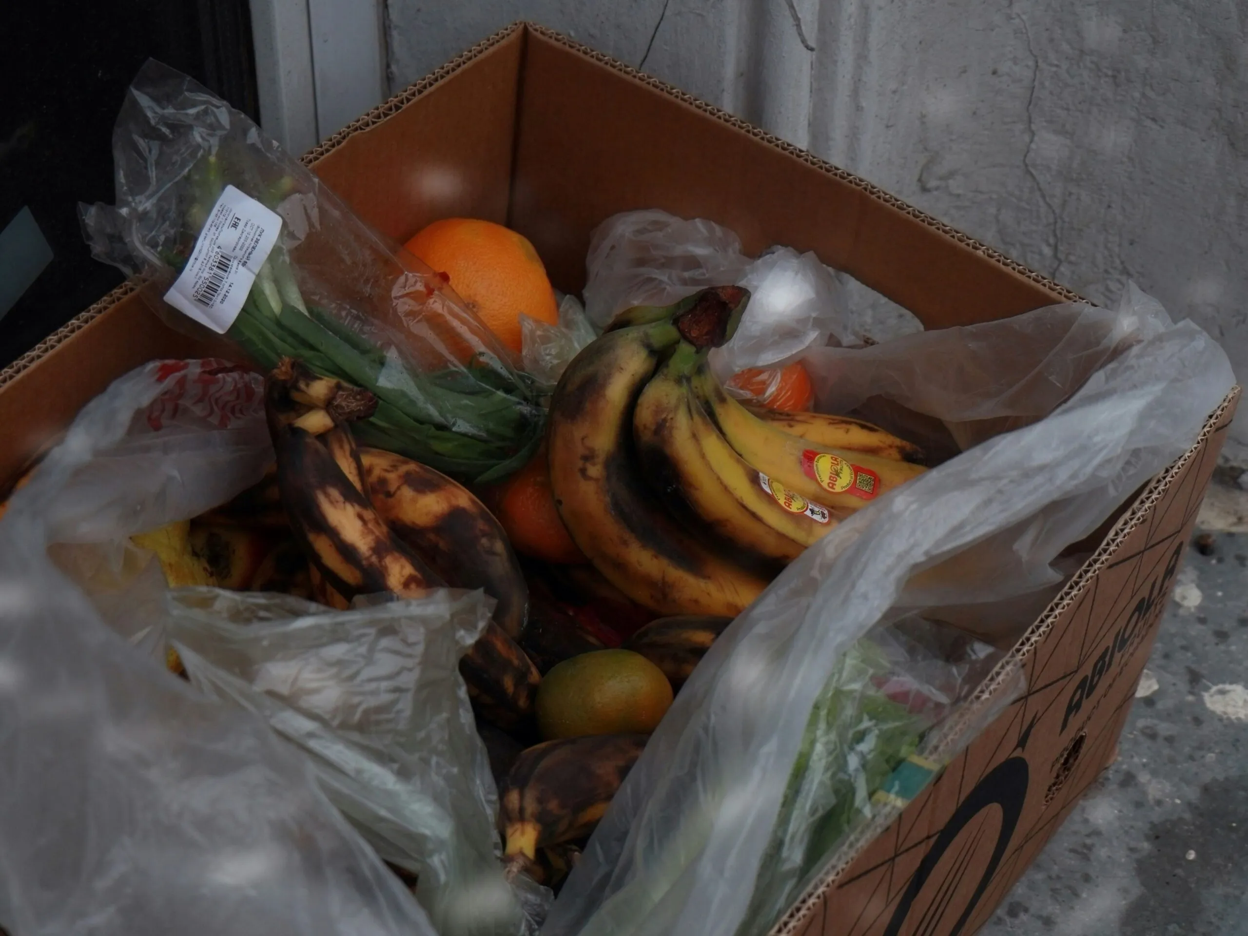 Desperdicio de alimentos en hogares y acciones de consumo responsable para reducir residuos