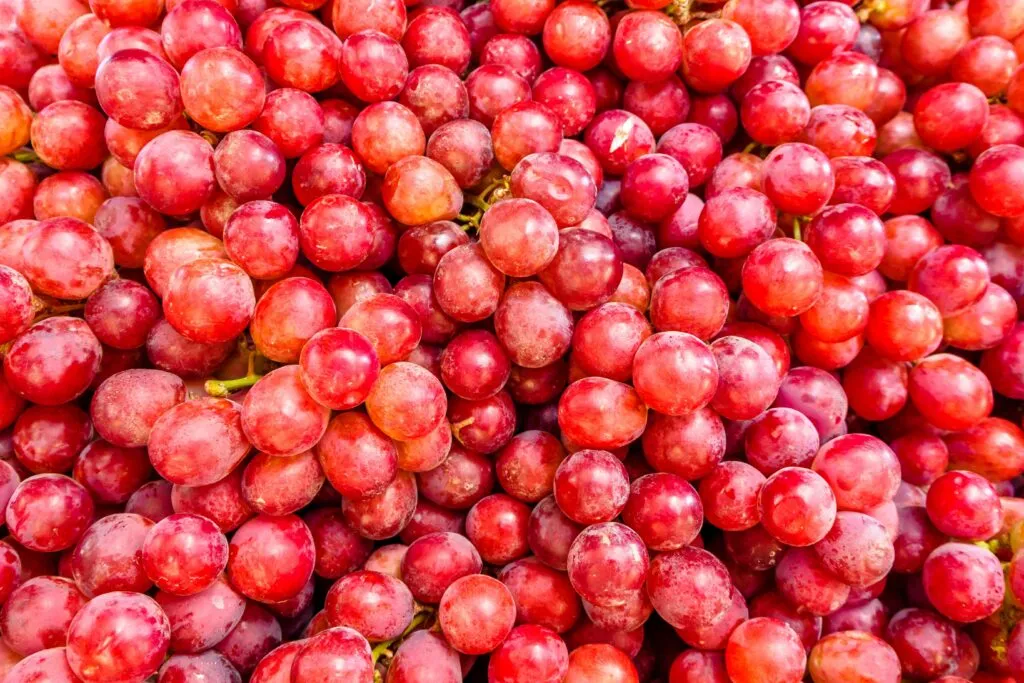 Uvas para el cerebro con polifenoles asociados con la salud cerebral dentro de una alimentación saludable.