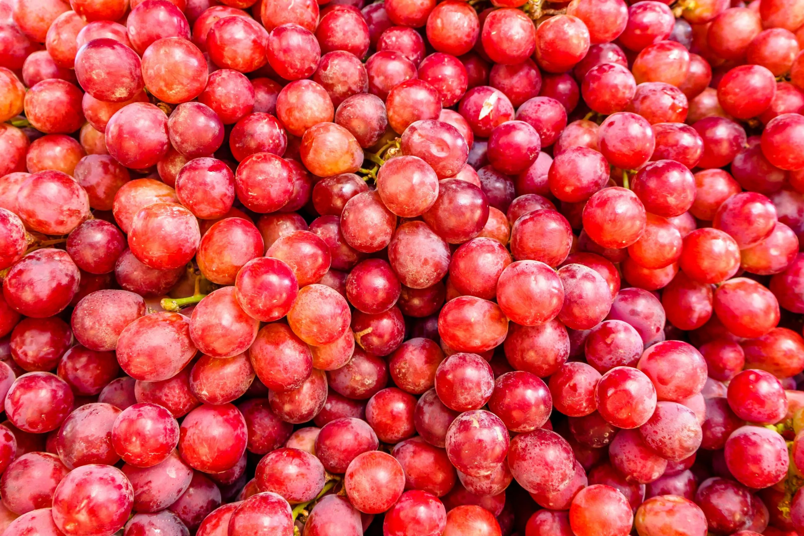 Uvas para el cerebro con polifenoles asociados con la salud cerebral dentro de una alimentación saludable.