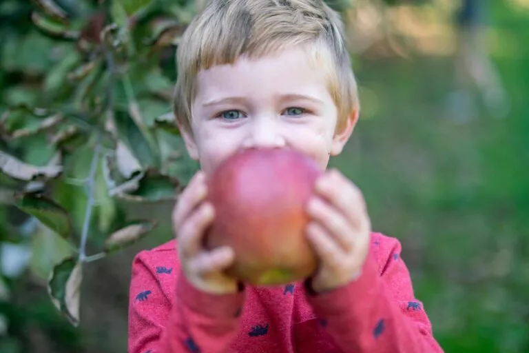Niño con diabetes tipo 1 recibe alimentos variados mientras controla los carbohidratos con supervisión médica cercana.
