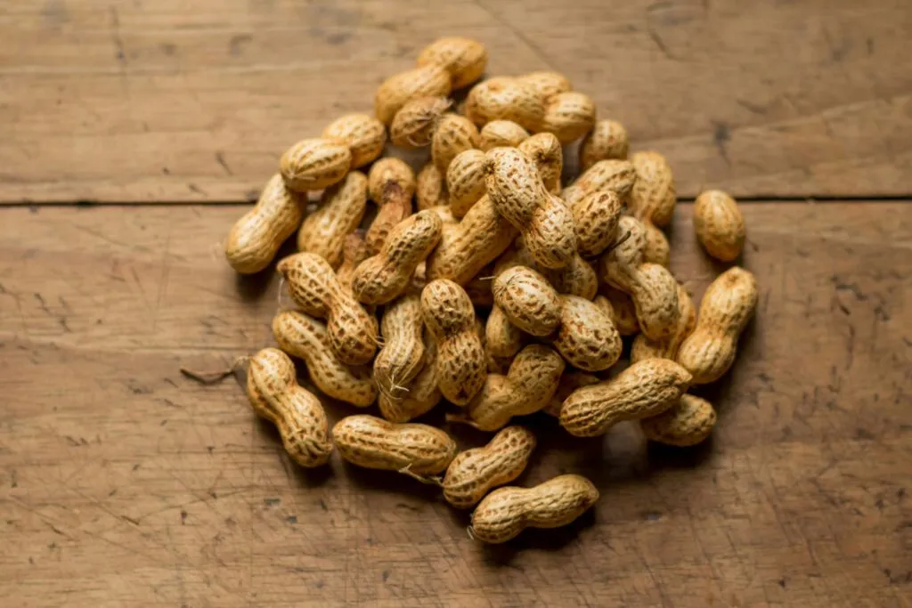Cacahuates naturales tostados que aportan grasas saludables y proteínas, estudiados por sus posibles beneficios para la memoria y salud cerebral