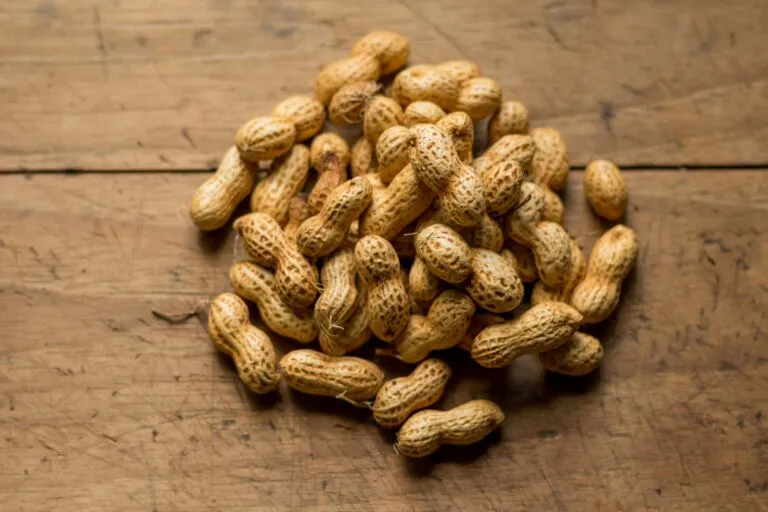 Cacahuates naturales tostados que aportan grasas saludables y proteínas, estudiados por sus posibles beneficios para la memoria y salud cerebral