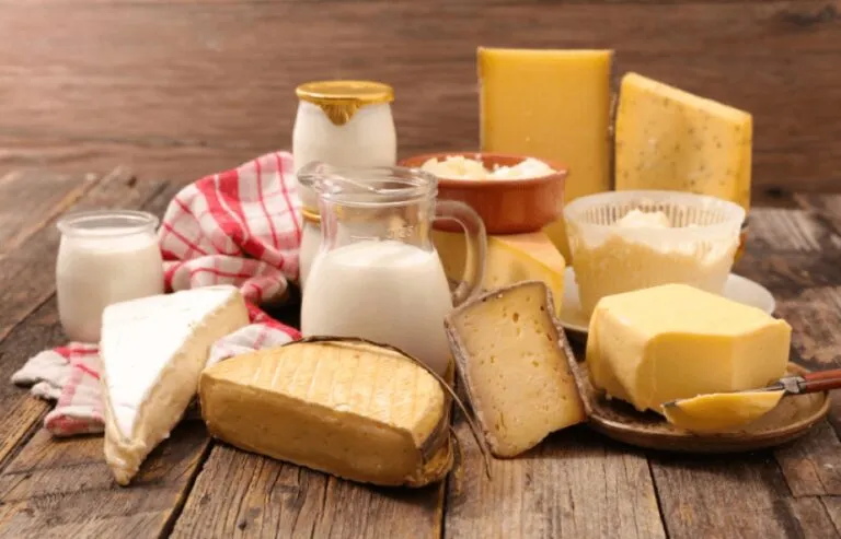 Lácteos al día representados con leche, yogurt y queso dentro de una alimentación equilibrada