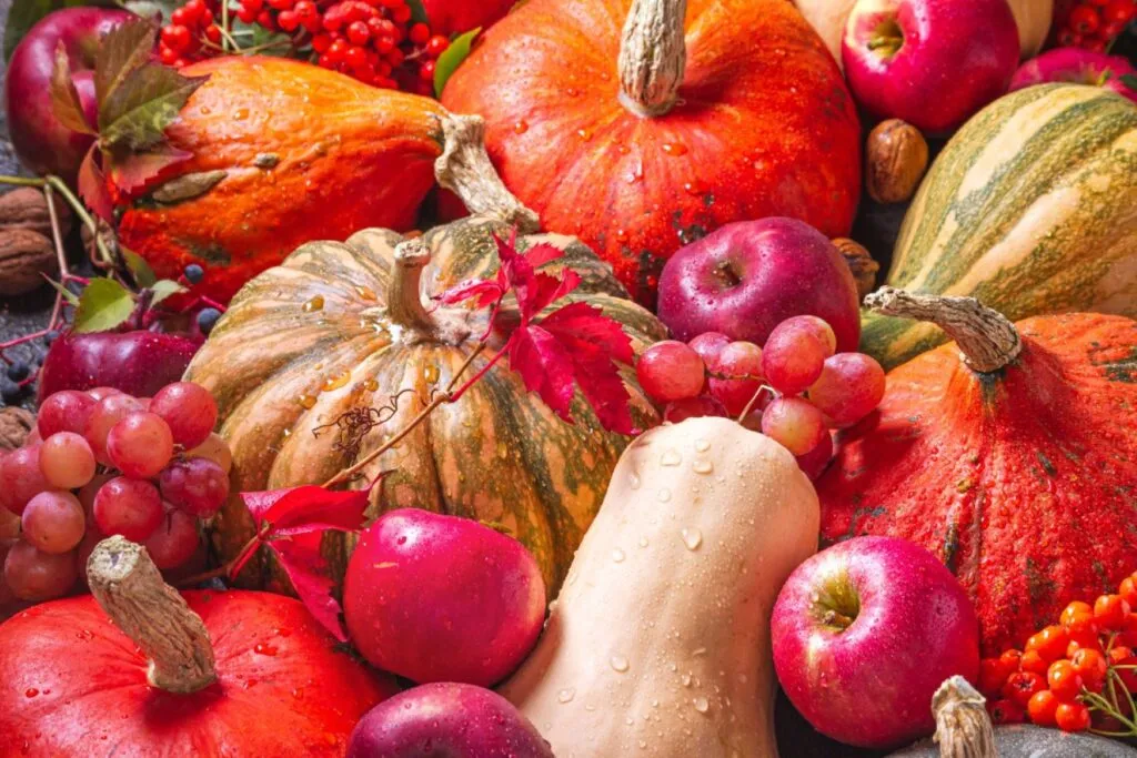 Frutas y verduras de otoño con fibra y vitaminas para preparar comidas saludables durante la temporada.