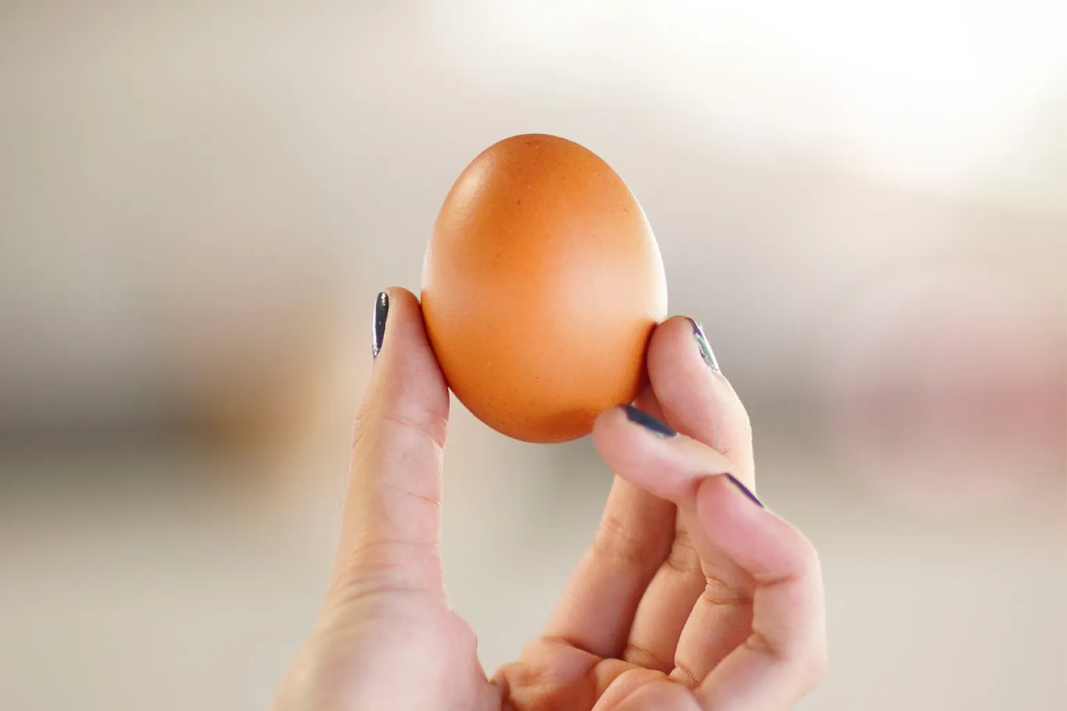 Huevos al día acompañados con verduras y pan integral dentro de una alimentación saludable y variada.