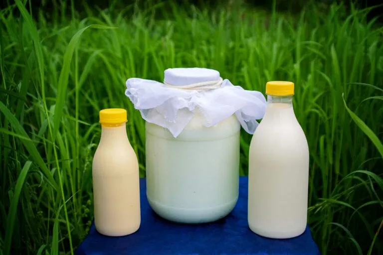 Vaso de leche pasteurizada junto a un envase refrigerado como alternativa segura frente a los riesgos de la leche cruda.