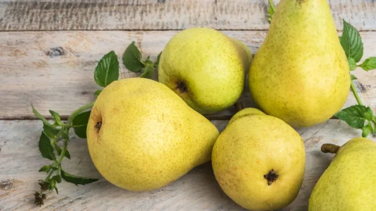 Peras frescas que aportan fibra y agua para favorecer la digestión y complementar una alimentación saludable