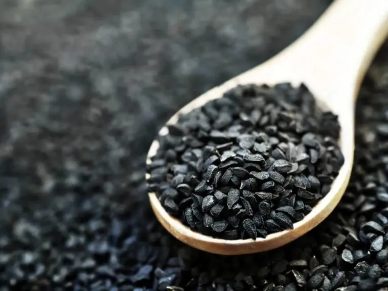 Semillas de albahaca hidratadas con fibra que puede favorecer la saciedad dentro de una alimentación saludable